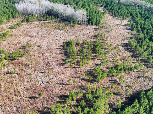 $1,900,000 | Tbd Tbd Orangeburg Road, Estill, SC 29918