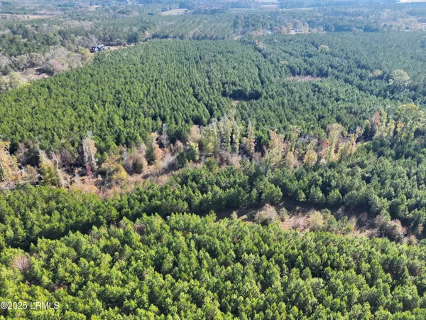 $1,900,000 | Tbd Tbd Orangeburg Road, Estill, SC 29918