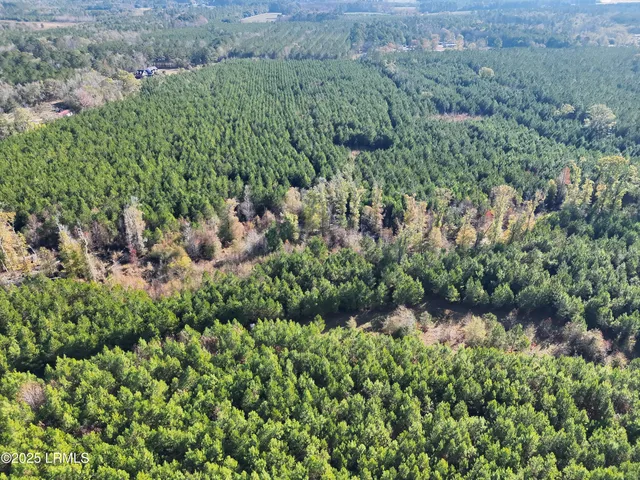 $1,900,000 | Tbd Tbd Orangeburg Road, Estill, SC 29918