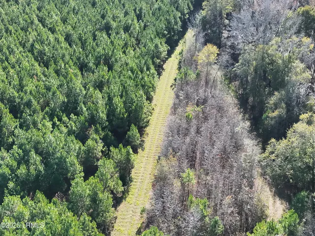 $1,900,000 | Tbd Tbd Orangeburg Road, Estill, SC 29918