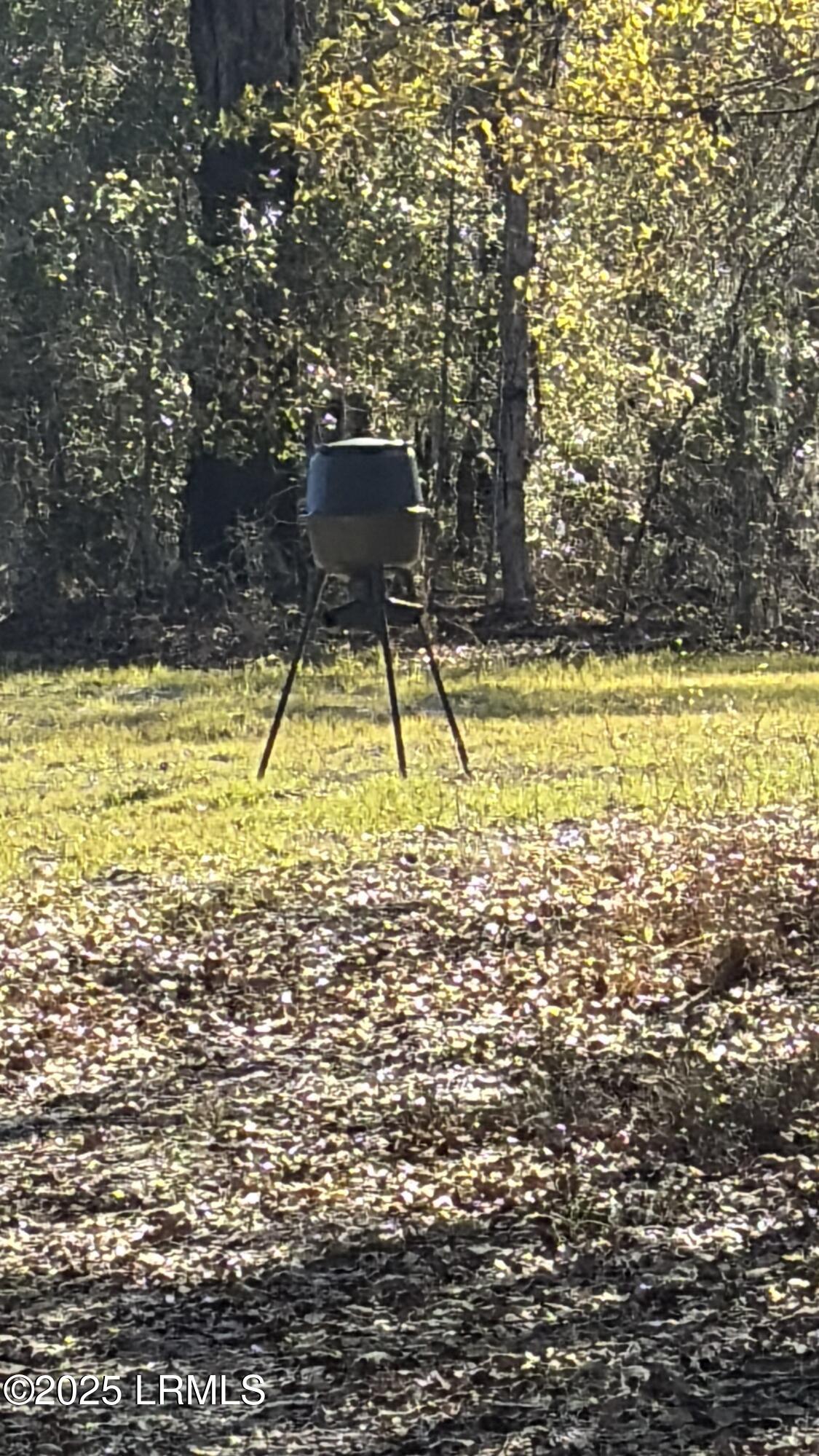 Tbd Tbd Orangeburg Road Estill, SC 29918 - Photo 2 of 30 Deer Stand 1