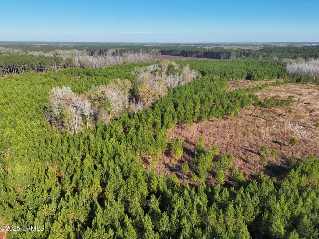 $1,900,000 | Tbd Tbd Orangeburg Road, Estill, SC 29918