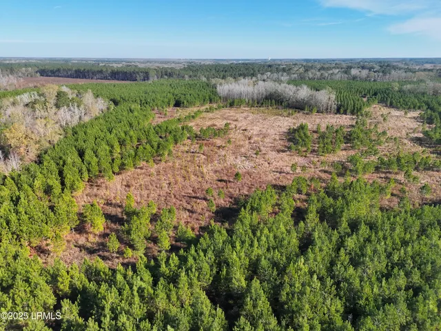 $1,900,000 | Tbd Tbd Orangeburg Road, Estill, SC 29918