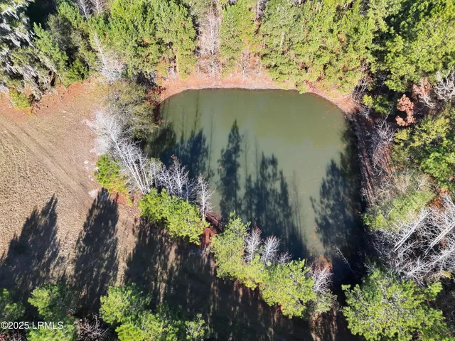 $1,900,000 | Tbd Tbd Orangeburg Road, Estill, SC 29918