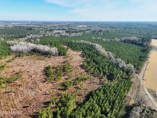 $1,900,000 | Tbd Tbd Orangeburg Road, Estill, SC 29918