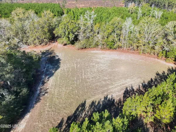 $1,900,000 | Tbd Tbd Orangeburg Road, Estill, SC 29918