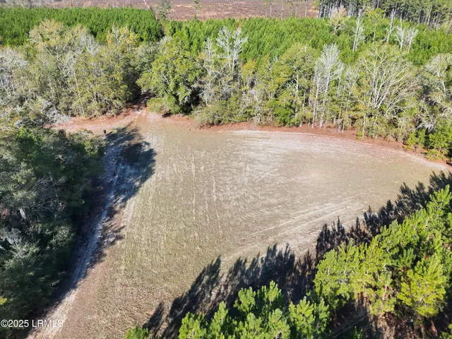 $1,900,000 | Tbd Tbd Orangeburg Road, Estill, SC 29918