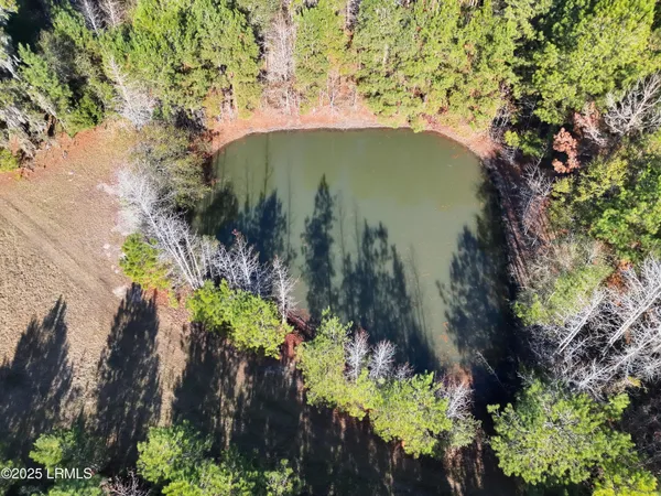 $1,900,000 | Tbd Tbd Orangeburg Road, Estill, SC 29918