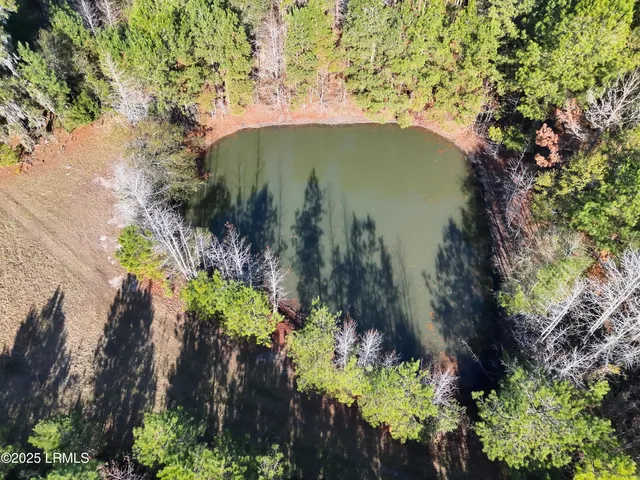 $1,900,000 | Tbd Tbd Orangeburg Road, Estill, SC 29918