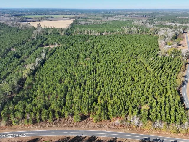 $1,900,000 | Tbd Tbd Orangeburg Road, Estill, SC 29918