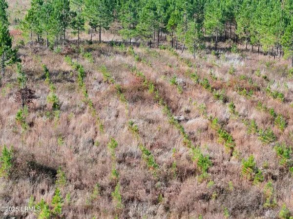 $1,900,000 | Tbd Tbd Orangeburg Road, Estill, SC 29918