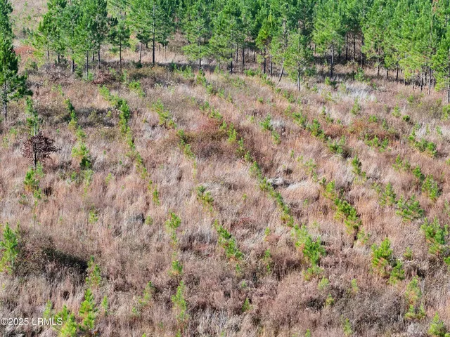 $1,900,000 | Tbd Tbd Orangeburg Road, Estill, SC 29918