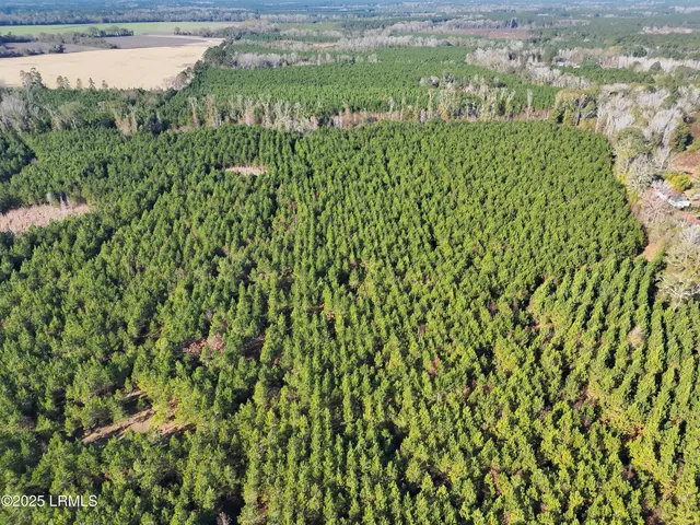 $1,900,000 | Tbd Tbd Orangeburg Road, Estill, SC 29918