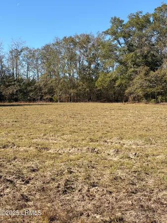 $1,900,000 | Tbd Tbd Orangeburg Road, Estill, SC 29918