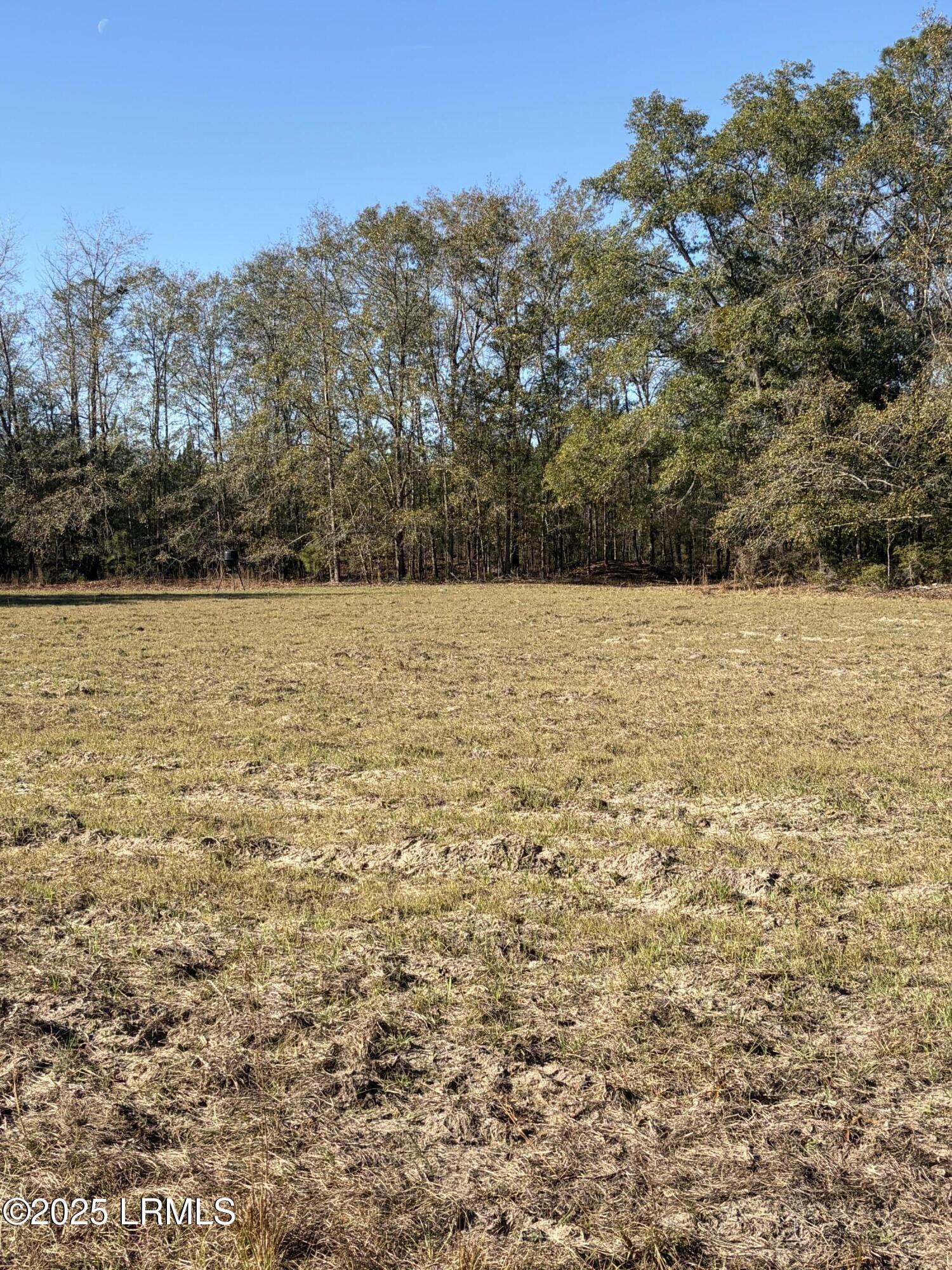 Tbd Tbd Orangeburg Road Estill, SC 29918 - Photo 3 of 30 Field