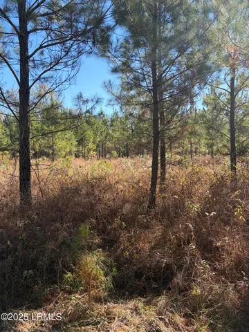 $1,900,000 | Tbd Tbd Orangeburg Road, Estill, SC 29918