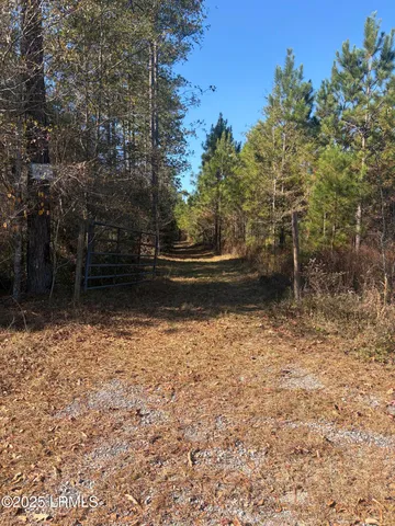 $1,900,000 | Tbd Tbd Orangeburg Road, Estill, SC 29918