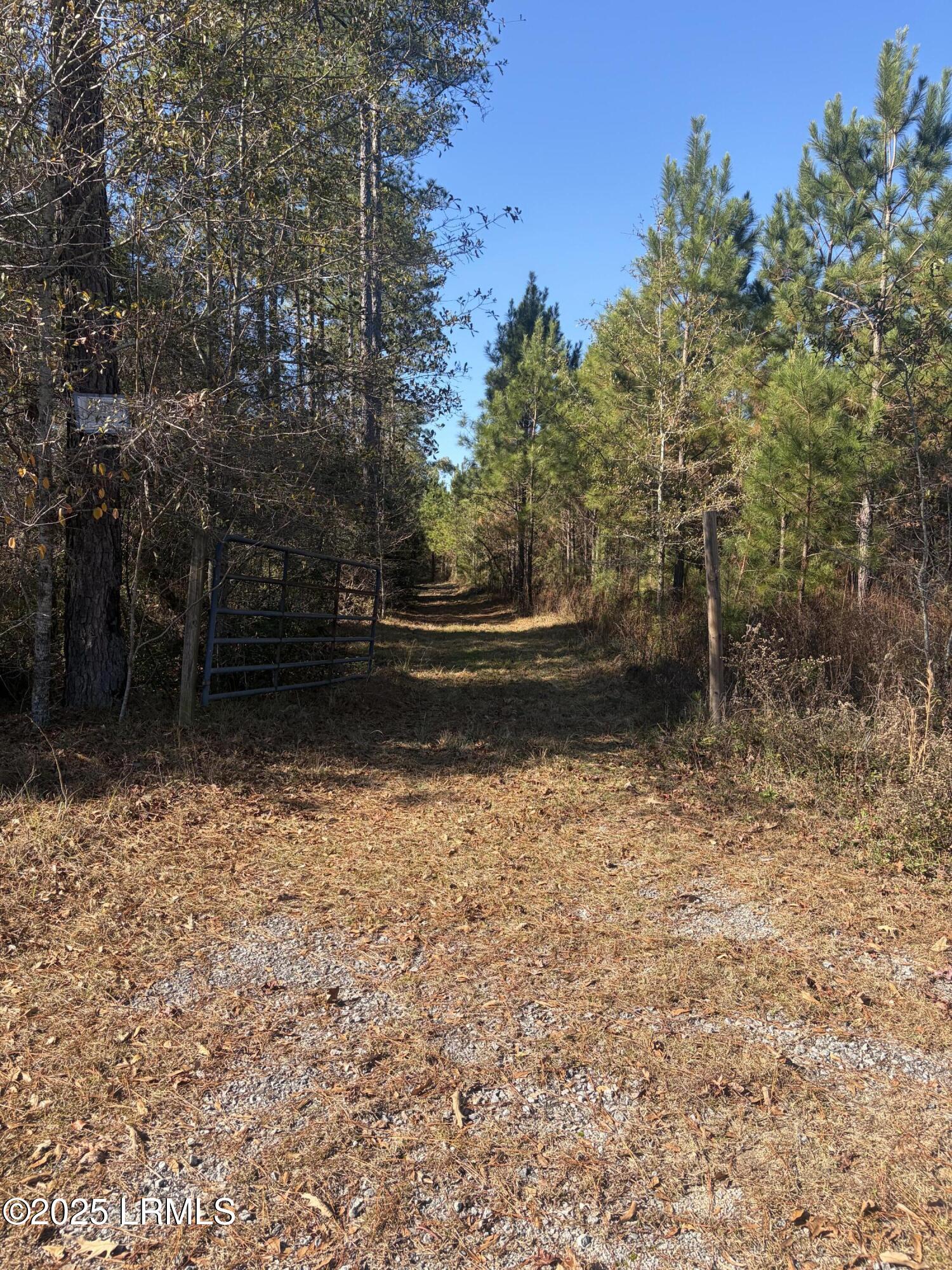 Tbd Tbd Orangeburg Road Estill, SC 29918 - Photo 5 of 30 Orangeburg Rd Access