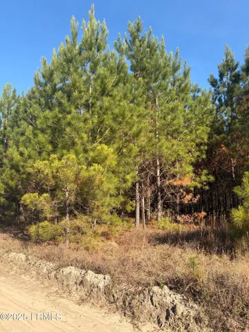 $1,900,000 | Tbd Tbd Orangeburg Road, Estill, SC 29918