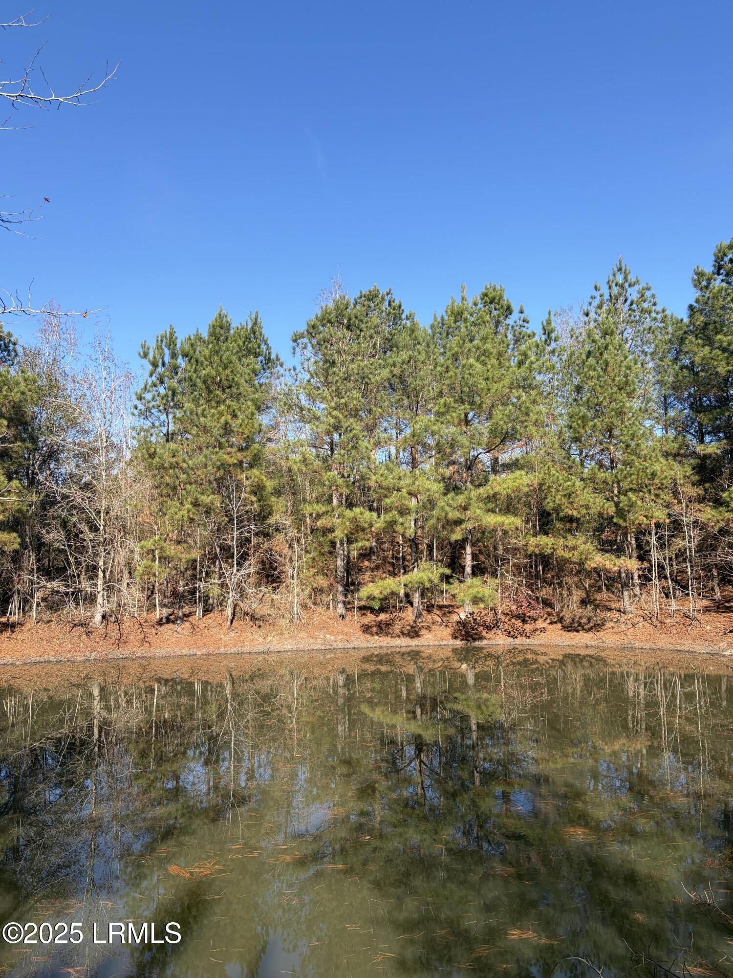 Tbd Tbd Orangeburg Road Estill, SC 29918 - Photo 7 of 30 Stocked Pond 1