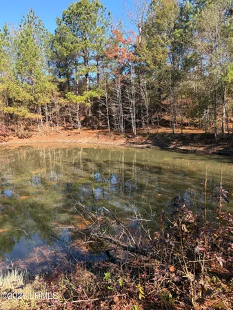 $1,900,000 | Tbd Tbd Orangeburg Road, Estill, SC 29918