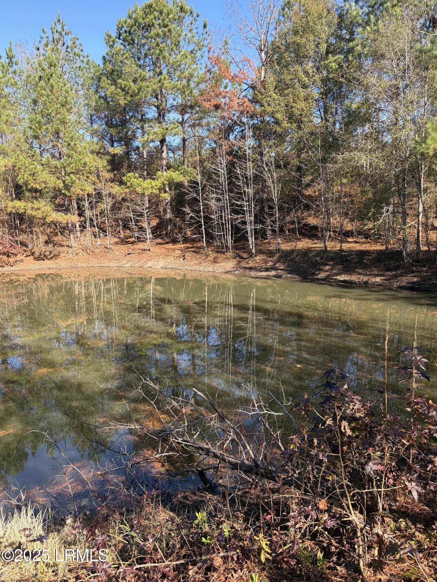 Tbd Tbd Orangeburg Road Estill, SC 29918 - Photo 8 of 30 Stocked Pond 2