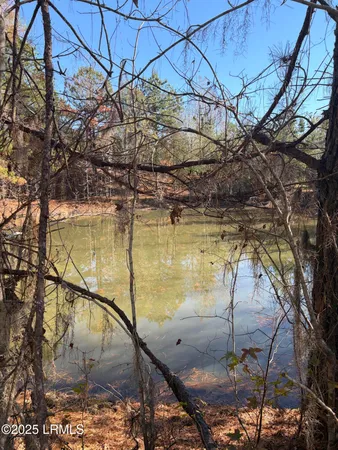 $1,900,000 | Tbd Tbd Orangeburg Road, Estill, SC 29918