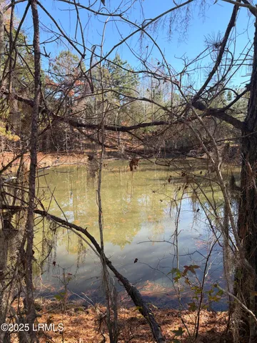 $1,900,000 | Tbd Tbd Orangeburg Road, Estill, SC 29918