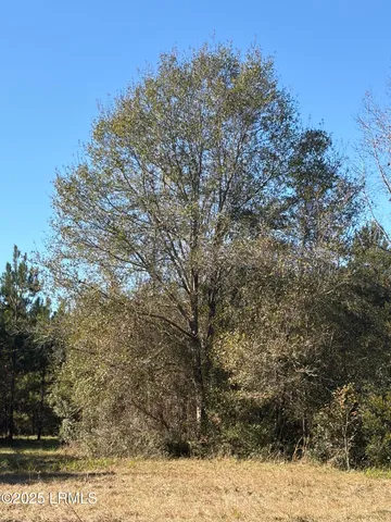 $1,900,000 | Tbd Tbd Orangeburg Road, Estill, SC 29918