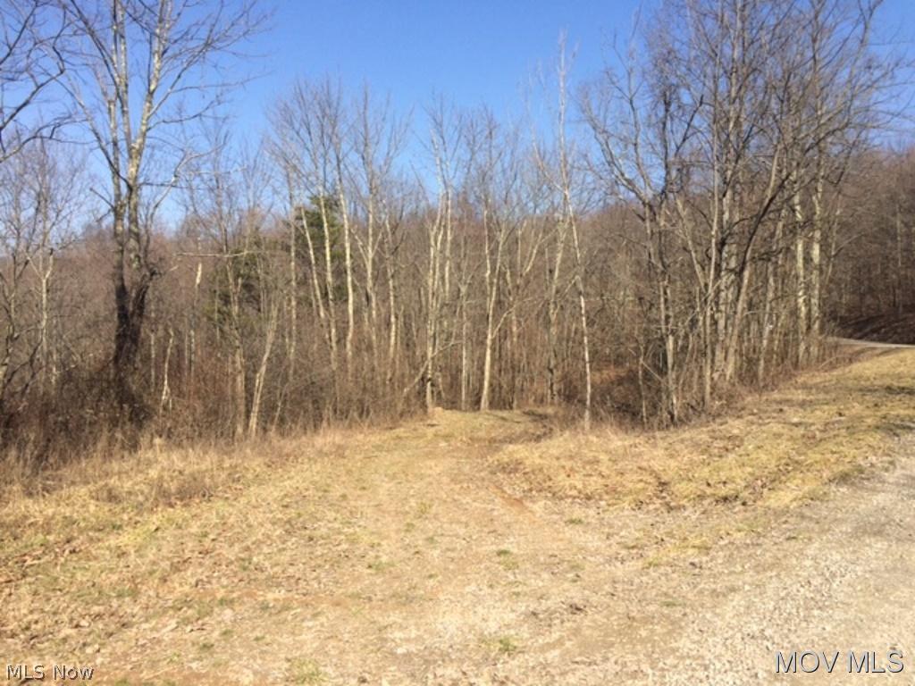 0 Creighton Ridge Road Lower Salem, OH 45745 - Photo 2 of 5