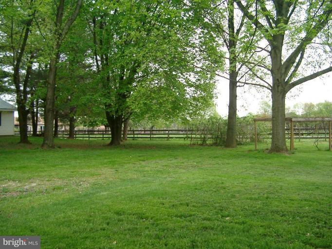 155 Sylmar Road Rising Sun, MD 21911 - Photo 16 of 19 FRUIT TREES, BLACKBERRY BUSHES AND GRAPE VINES.