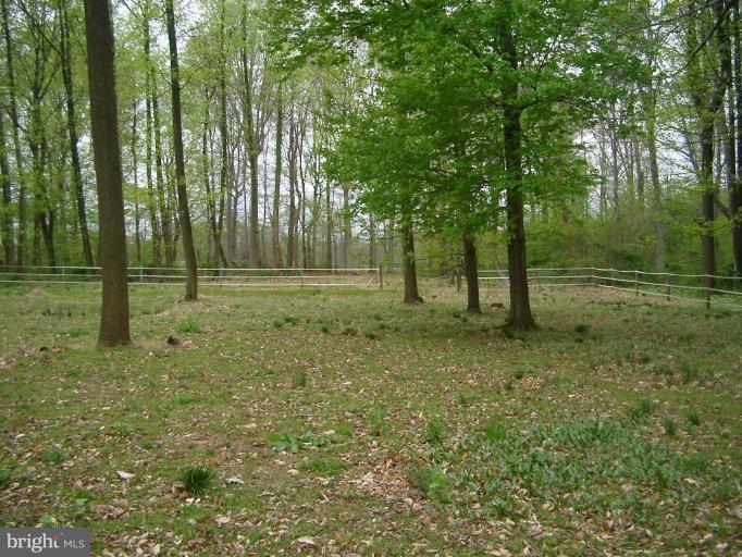 155 Sylmar Road Rising Sun, MD 21911 - Photo 8 of 19 BACKS TO FARMLAND, BEYOND THE TREES.