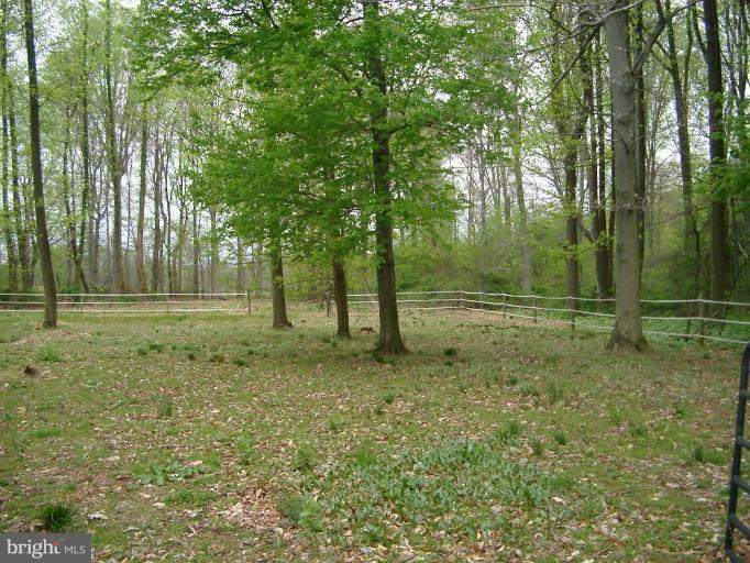 155 Sylmar Road Rising Sun, MD 21911 - Photo 9 of 19 THIRD PADDOCK, MATURE SHADE TREES.