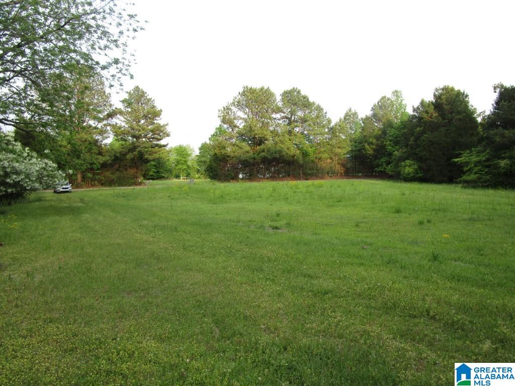 4956 Kings Mill Road Oakman, AL 35579 - Photo 3 of 27