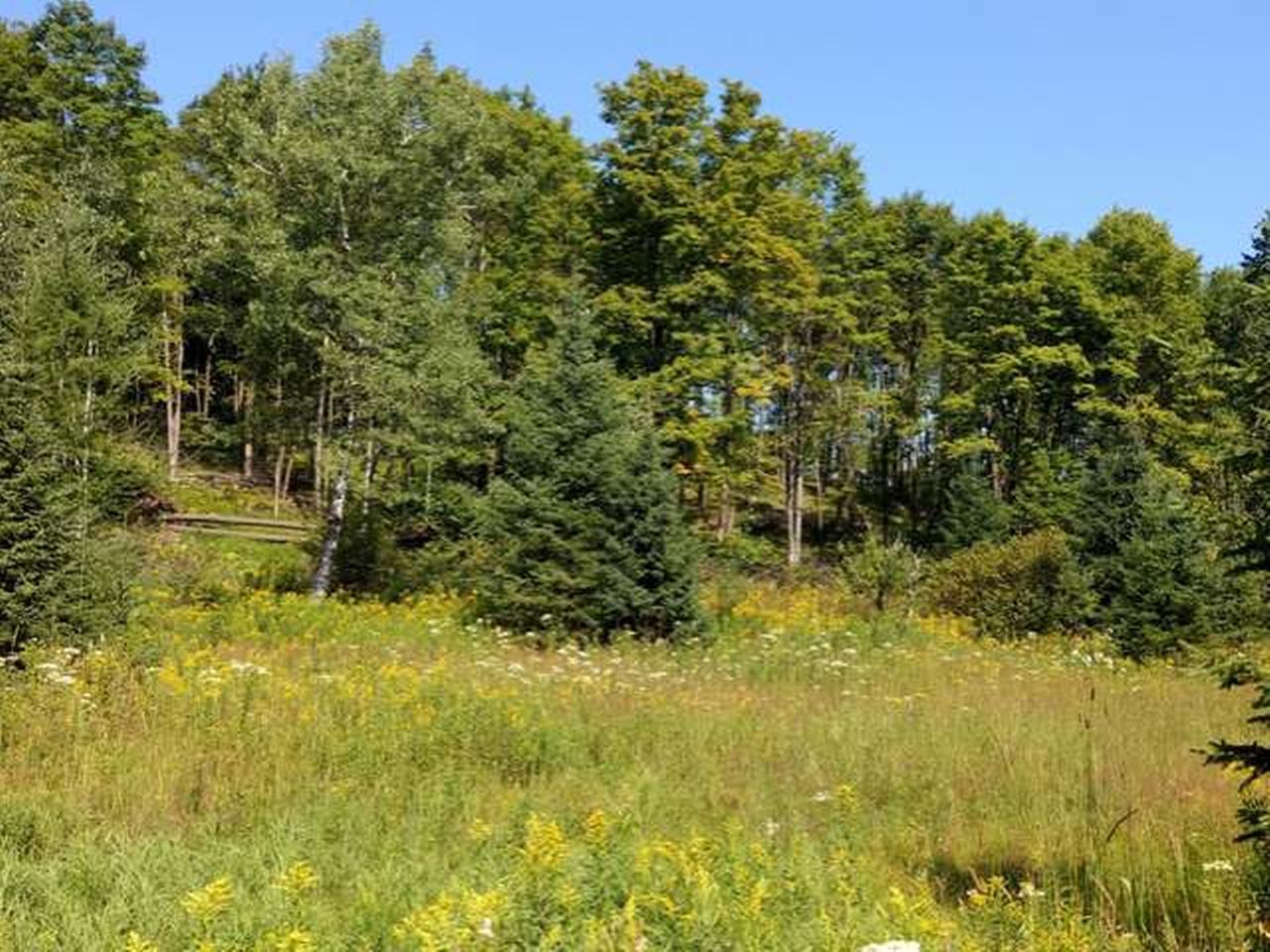 On Kentuck Lake Road Phelps, WI 54554 - Photo 1 of 16 Gallery Image 1