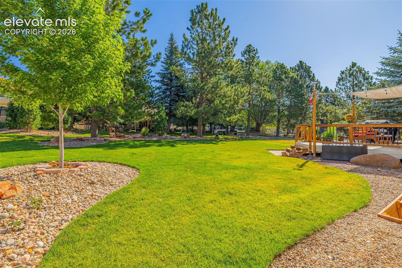 7985 Orchard Path Road Colorado Springs, CO 80919 - Photo 7 of 50 Expansive lawn with mature trees and a wood deck featuring a shade sail
