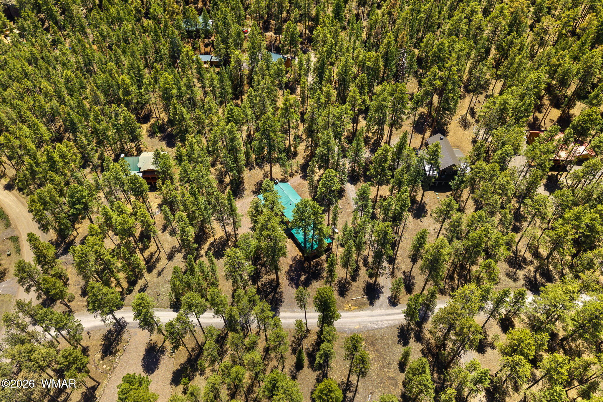 48 North 1068th Street Greer, AZ 85927 - Photo 31 of 37 a view of a yard