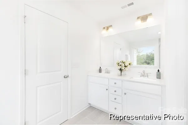 a bathroom with a sink a mirror and a potted plant