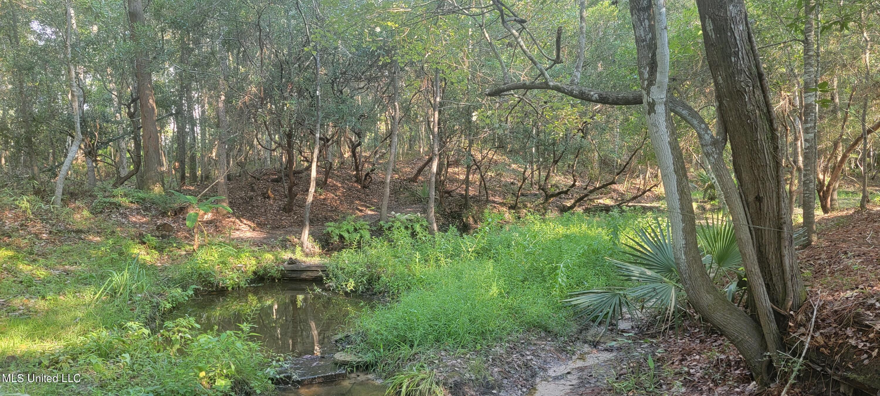 6370 Davis Road Long Beach, MS 39560 - Photo 14 of 17 Back Yard Strea