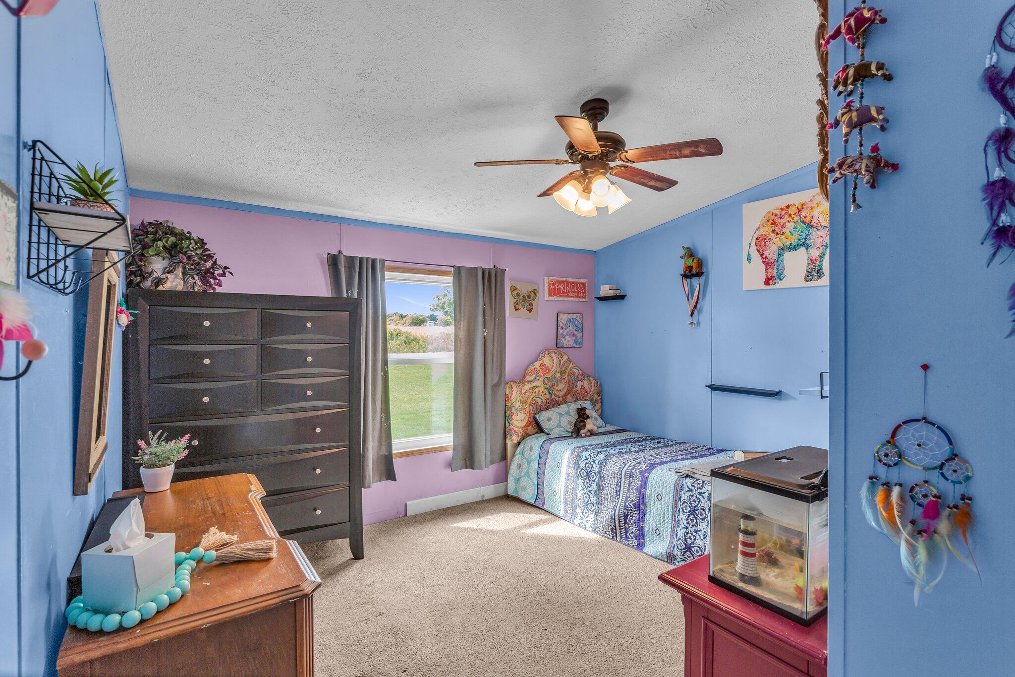 20880 Trufant Road Pierson, MI 49339 - Photo 10 of 33 24-web-or-mls-20880 Trufant Rd Pierson 2