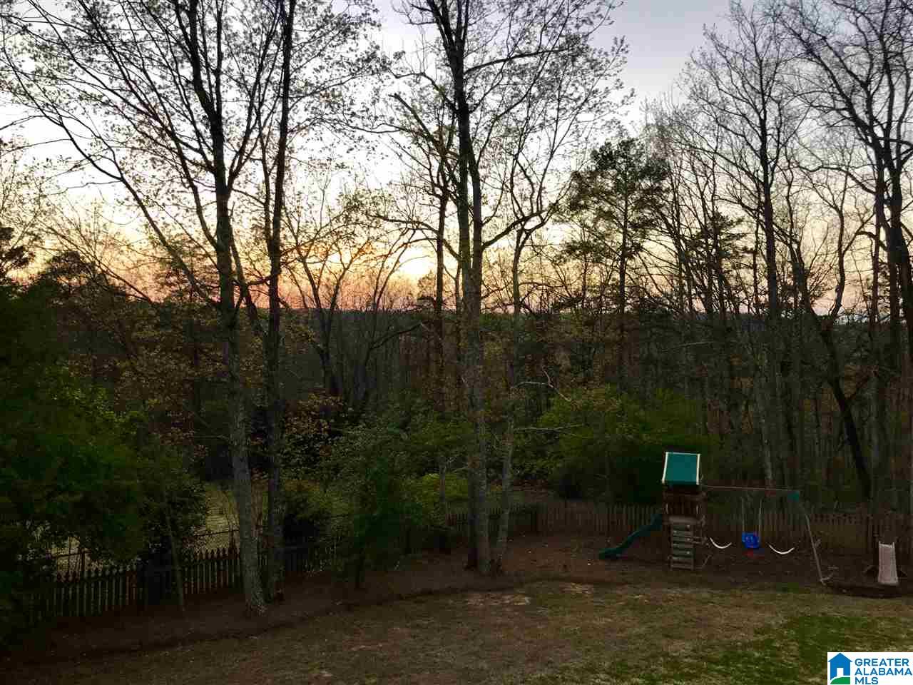229 Clairmont Road Sterrett, AL 35147 - Photo 49 of 50