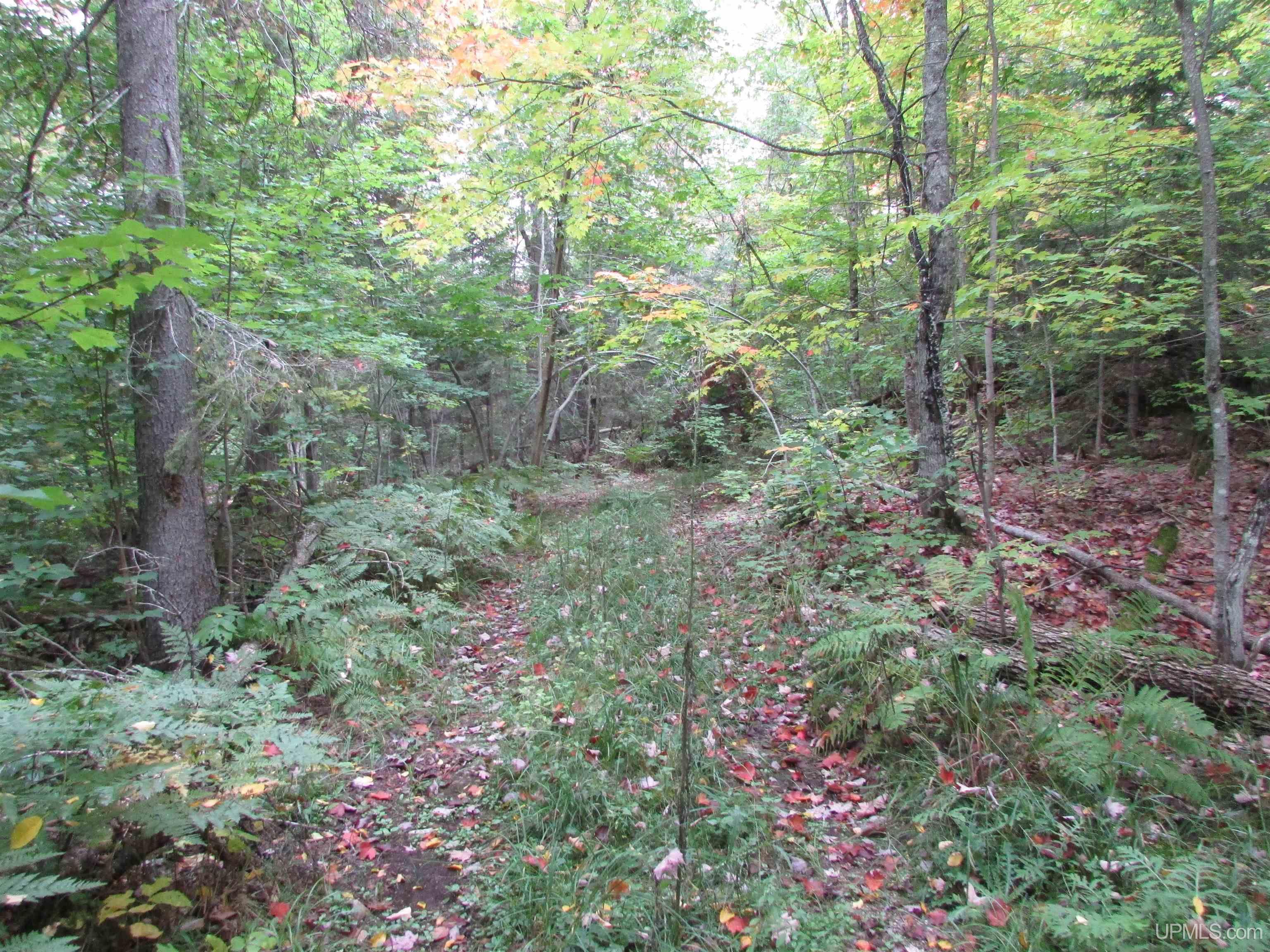 19337 Clear Lake Road Michigamme, MI 49861 - Photo 24 of 50 Gallery Image 24
