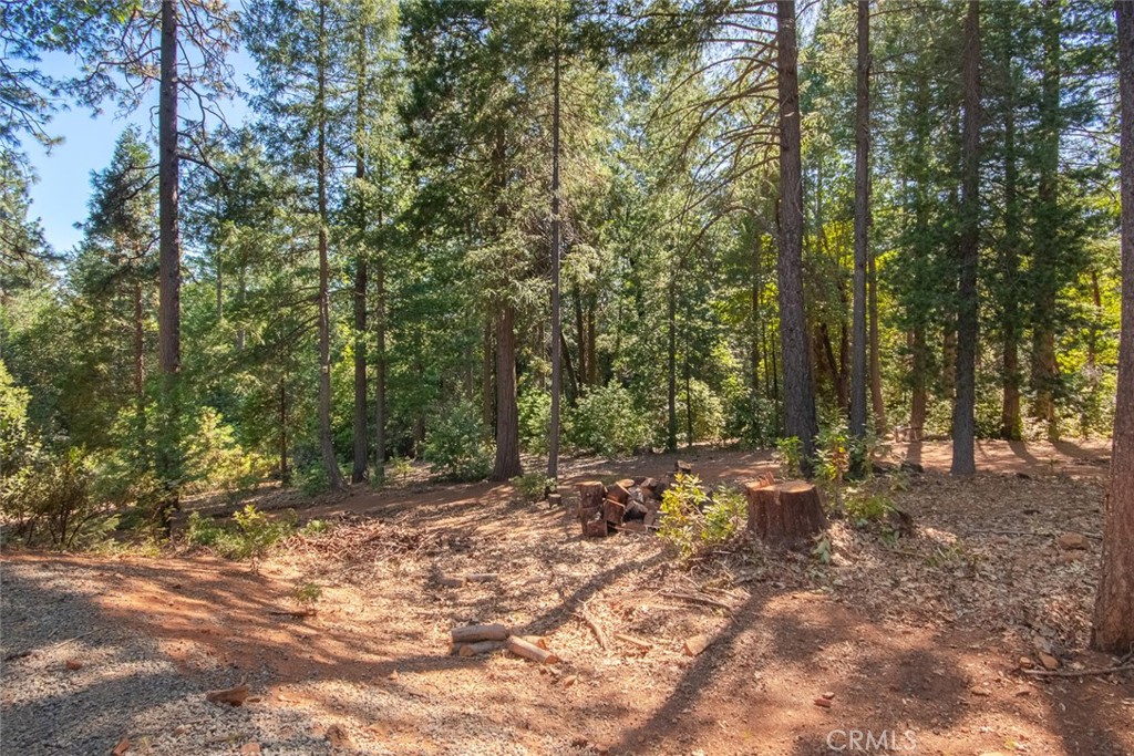 10647 Forbestown Road Forbestown, CA 95941 - Photo 65 of 74