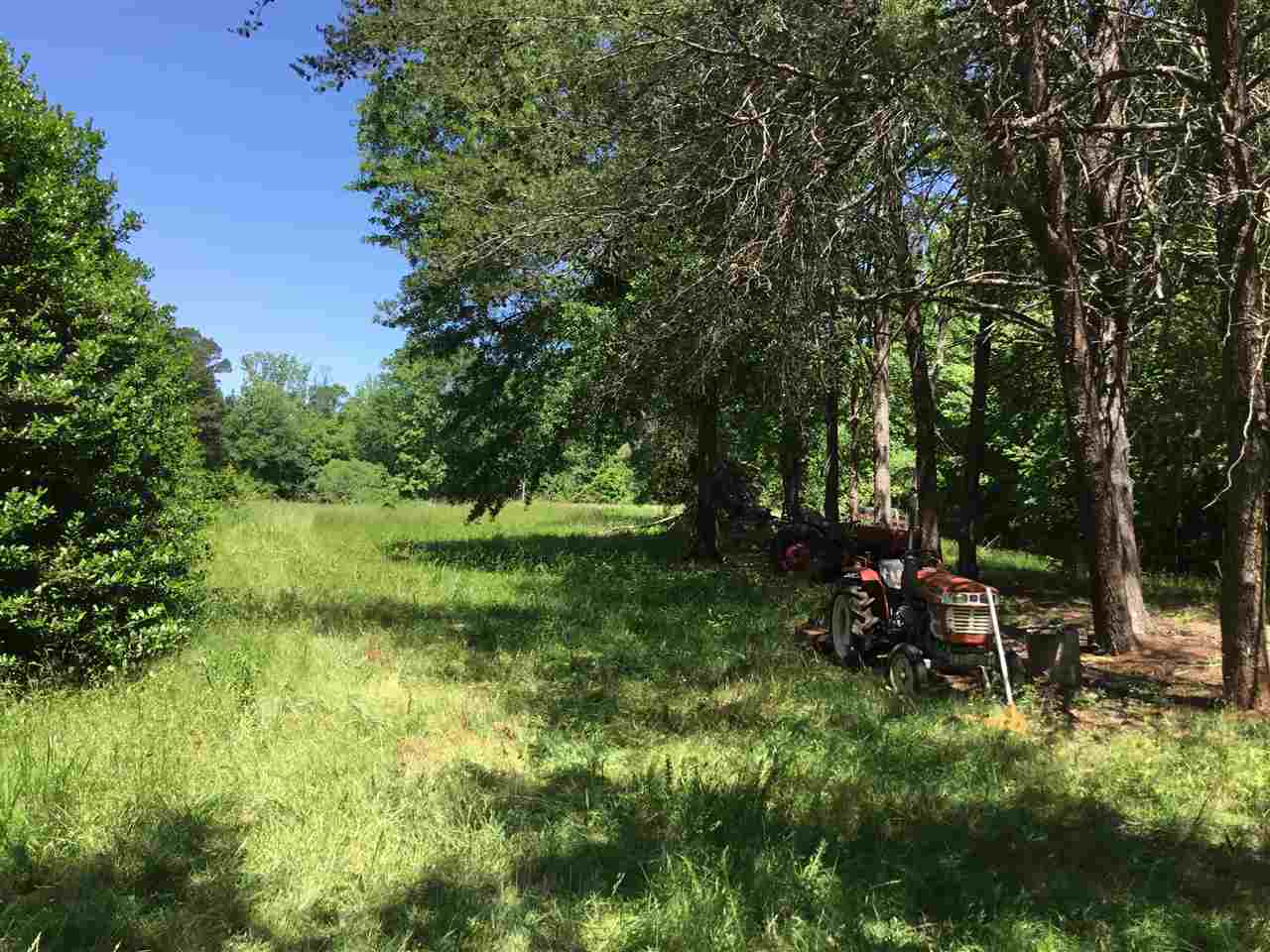 385 Chapman Drive Inman, SC 29349 - Photo 5 of 7