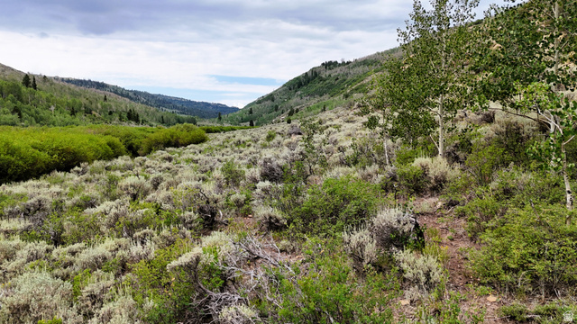 123 Beaver Creek Road Helper, UT 84526 - Photo 18 of 47 Expansive mountainous terrain featuring diverse natural foliage and distant green hills