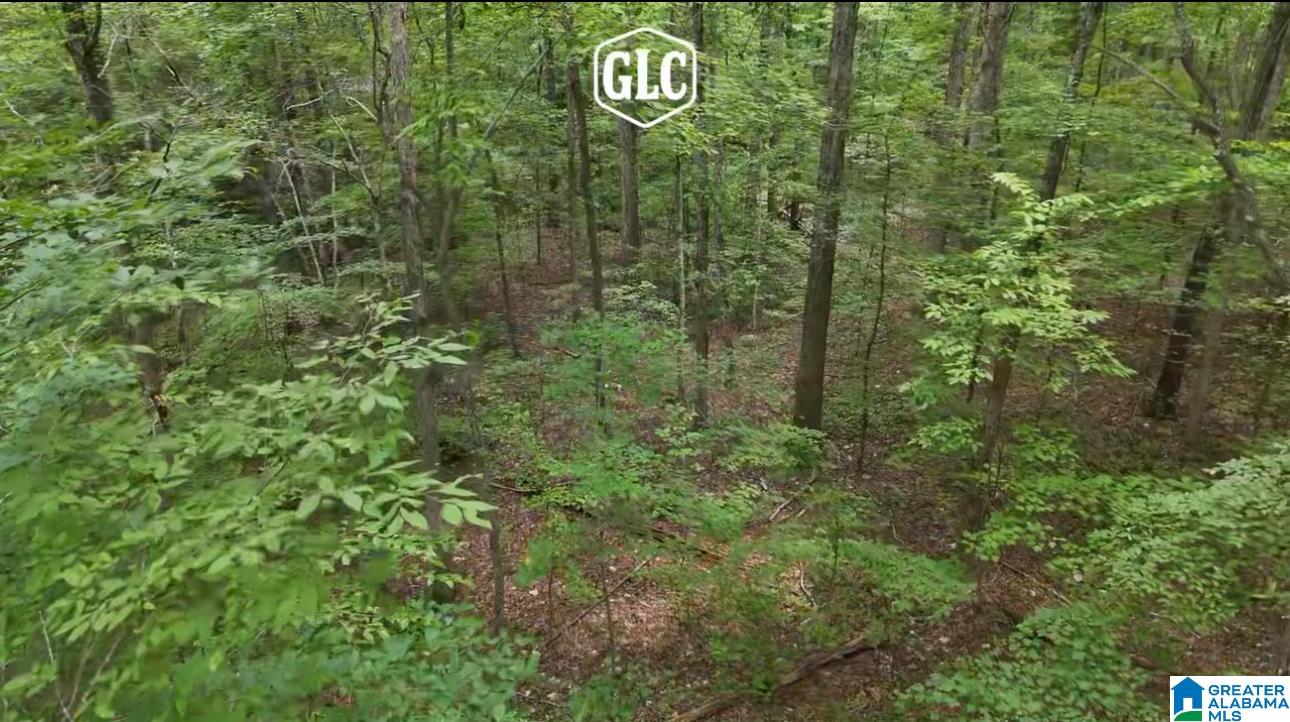 200 Daphne Road, Unit 1 Springville, AL 35146 - Photo 10 of 10