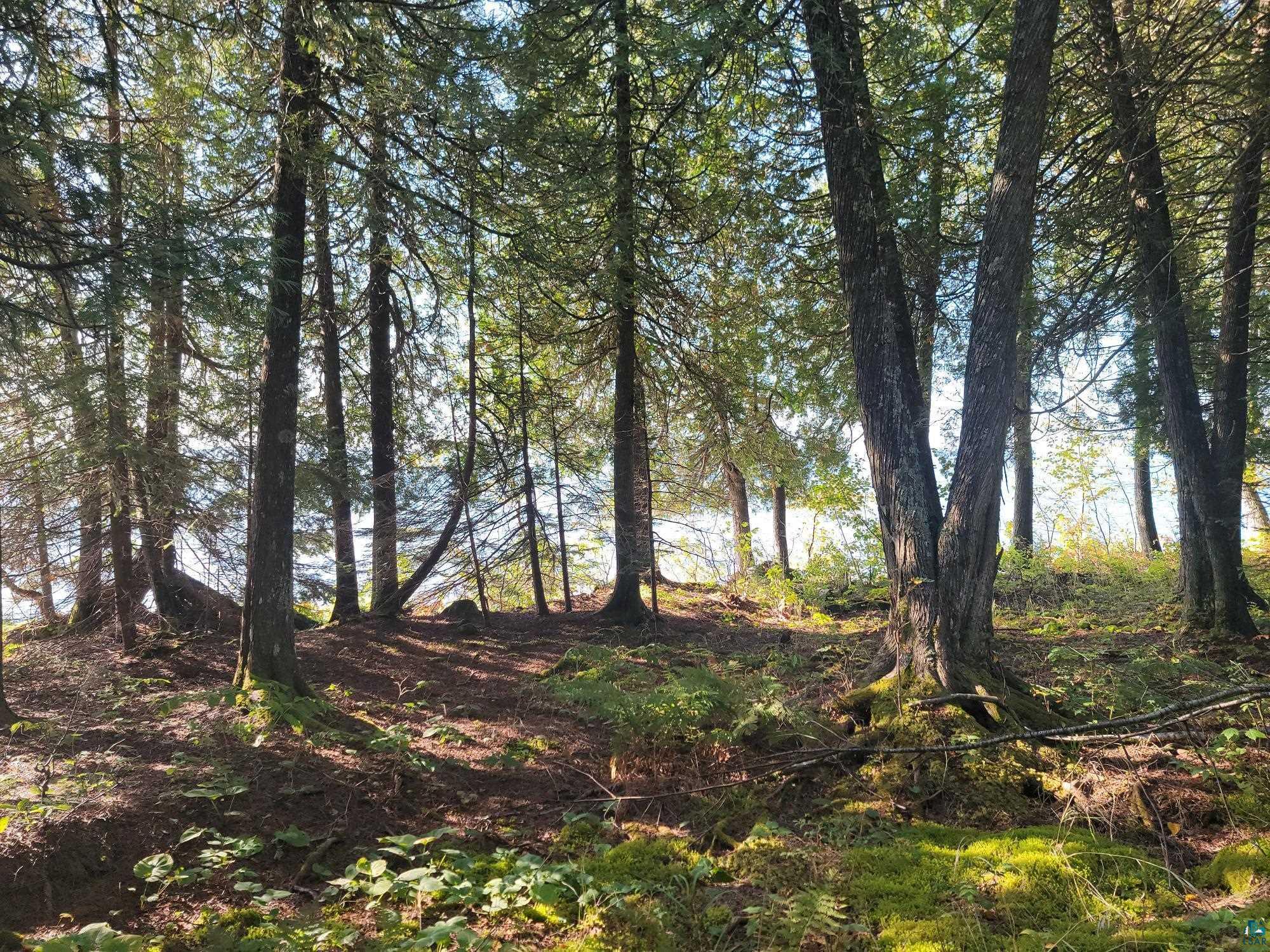 4600 Cascade Beach Road Lutsen, MN 55612 - Photo 18 of 27 View of local wilderness