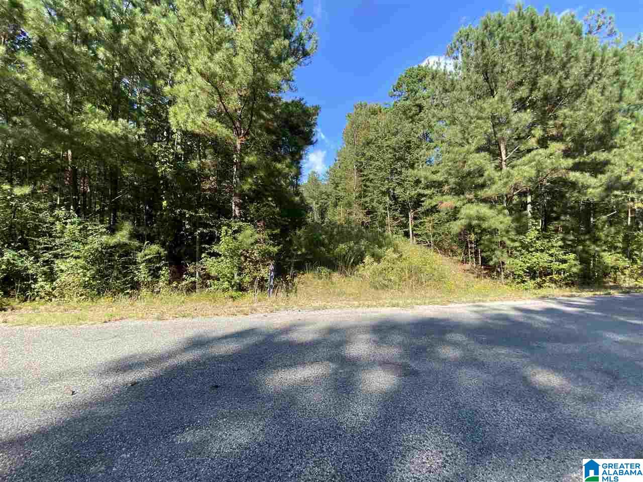 Charnell Drive, Unit 4 Springville, AL 35146 - Photo 8 of 8