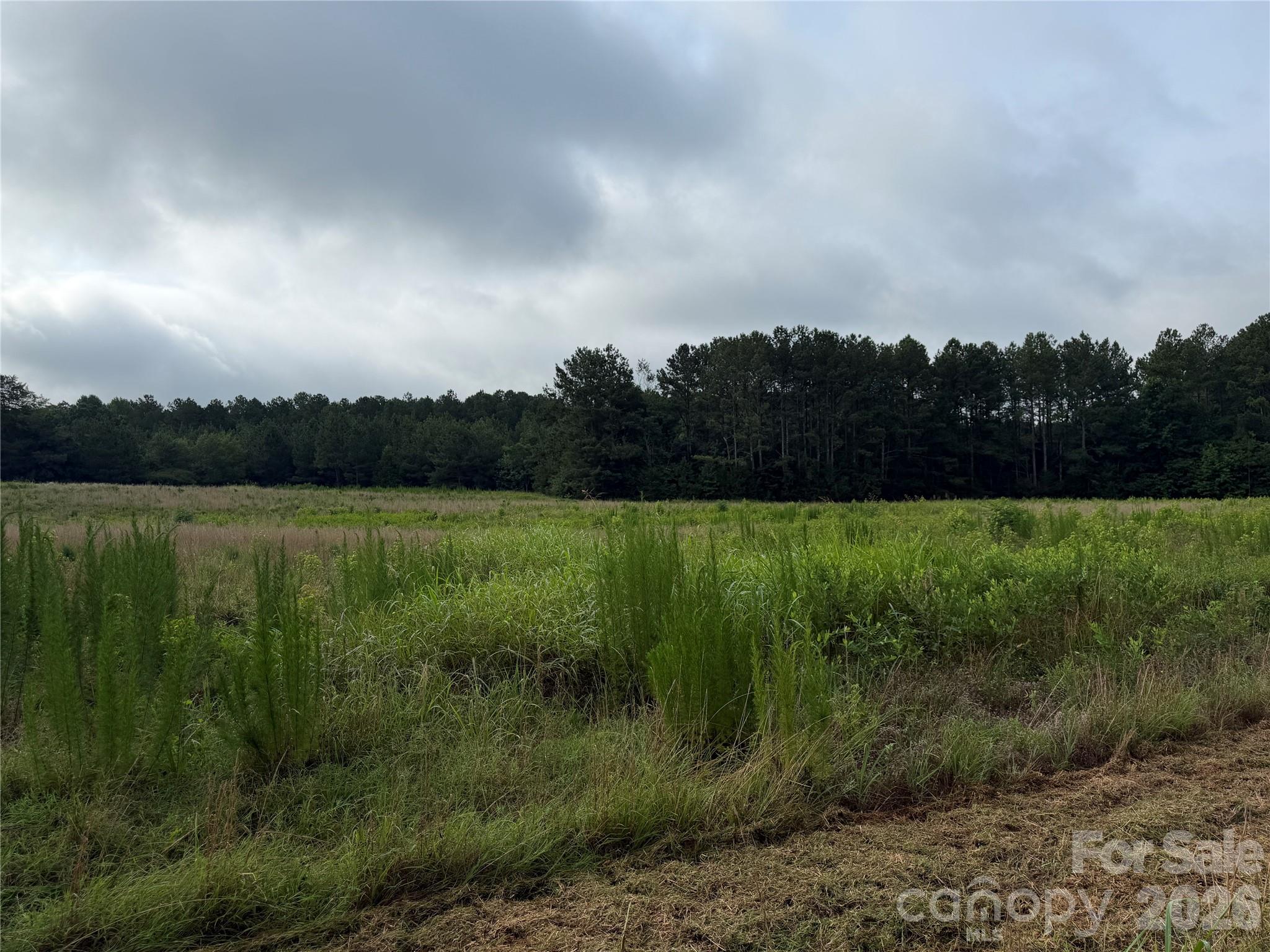 0 West Chappell Road McConnells, SC 29726 - Photo 18 of 35 Gallery Image 18