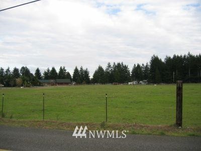 18902 Loganberry Street Southwest Rochester, WA 98579 - Photo 1 of 1 a view of a golf course with a park